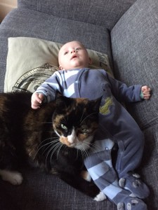 Katten en de baby